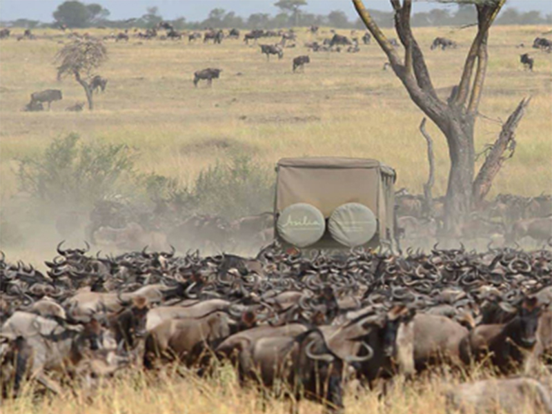 4 Days Tanzania Secrets