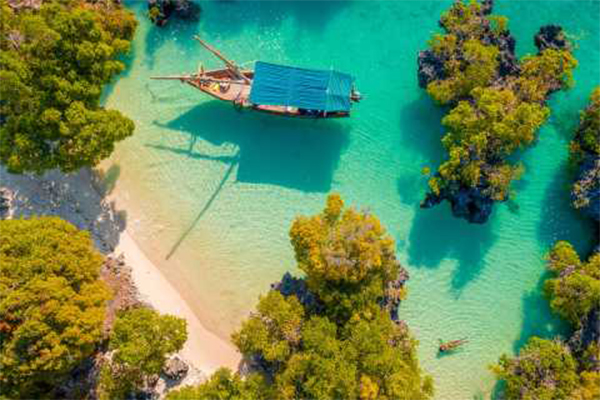 Snorkeling Adventure