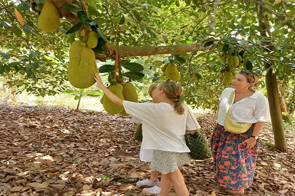 Zanzibar Resort Pool
